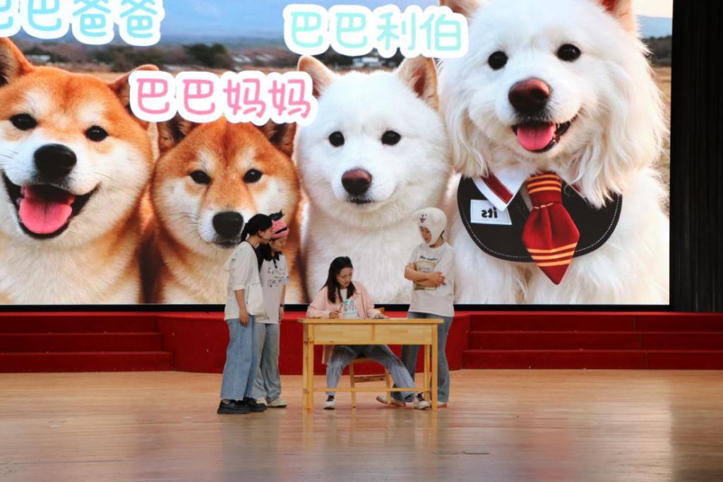 蜘蛛直播官网