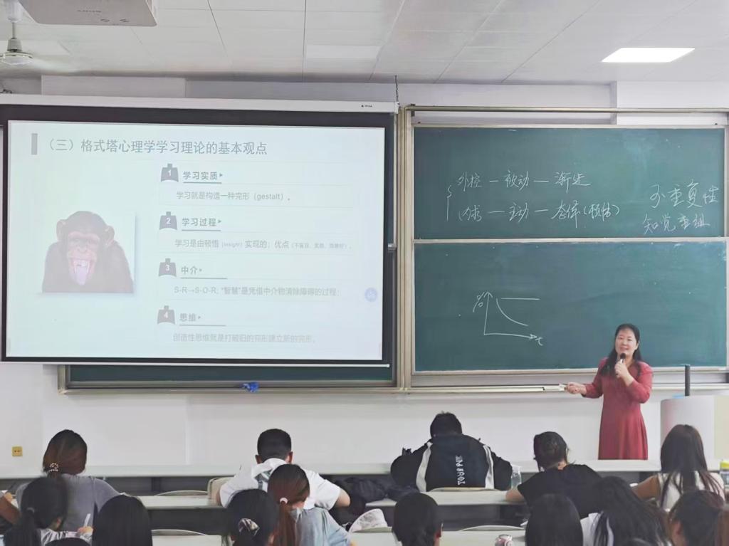 蜘蛛直播官网